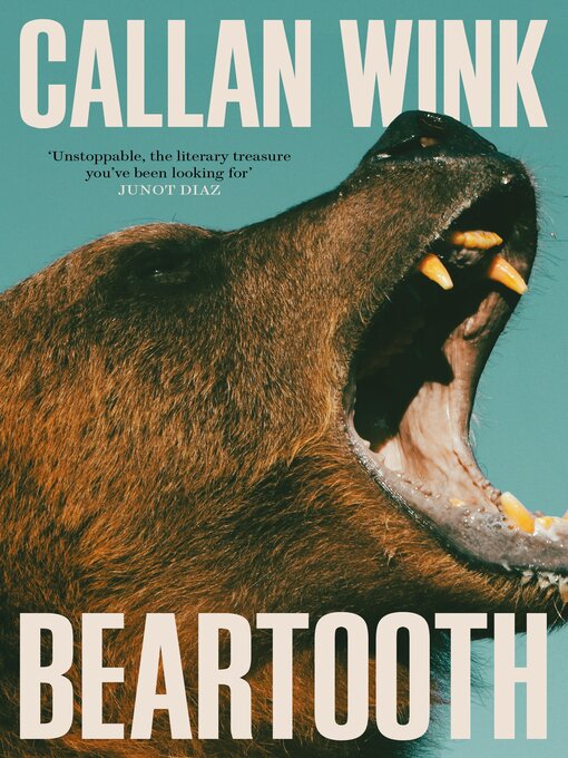 Title details for Beartooth by Callan Wink - Wait list